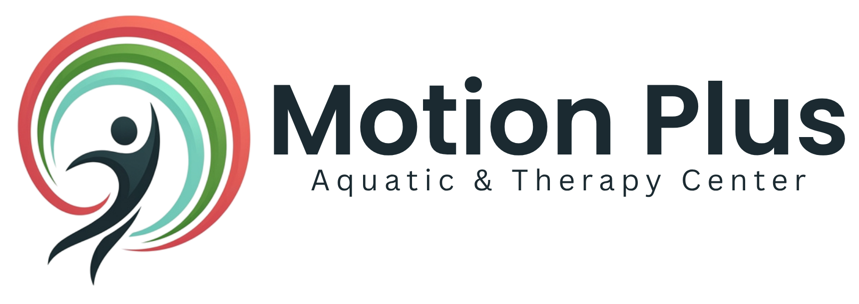 Motion Plus